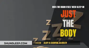 Brain Sleep: Why Does Our Brain Need Sleep?