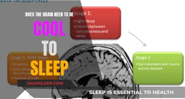 Cooling the Brain: A Sleep Solution?