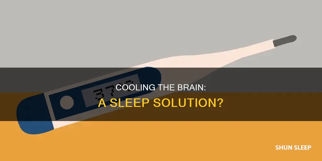 does the brain need to be cool to sleep