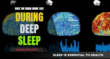 Brain Activity During Deep Sleep: Fast or Slow?