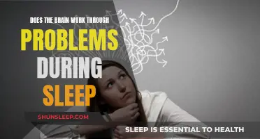 Brain's Night Shift: Problem-Solving While You Sleep