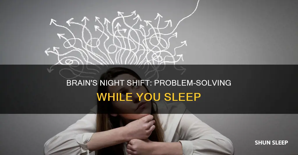 does the brain work through problems during sleep