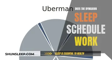 Dymaxion Sleep Schedule: Does It Work?