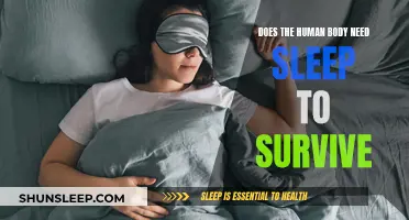 Sleep: Essential for Survival or Waste of Time?