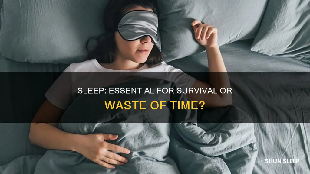 does the human body need sleep to survive