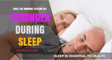 Boosting Immunity: How Sleep Strengthens Your Body's Defense System