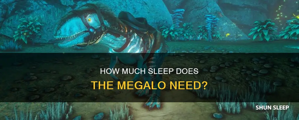 does the megalo need sleep in aberration