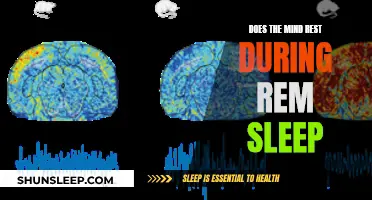 Mind Activity During REM Sleep: Rest or Reset?