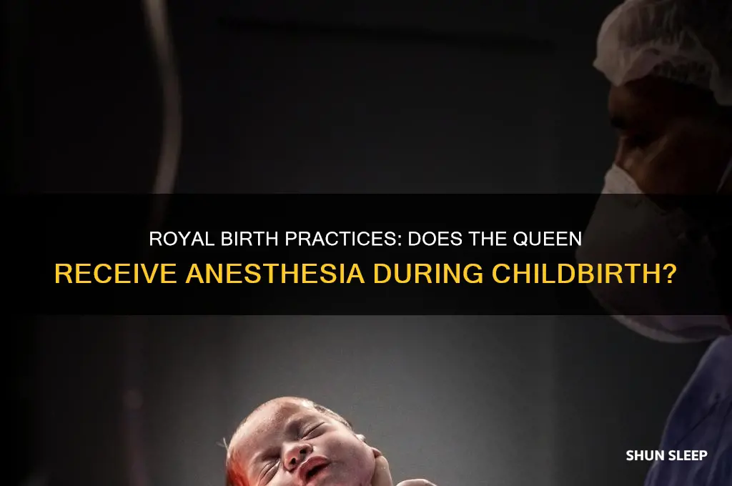 does the queen get put to sleep to give birth