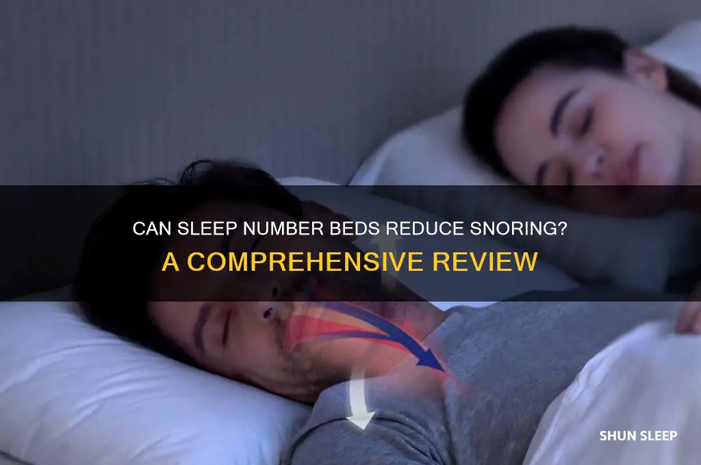 does the sleep number bed help with snoring
