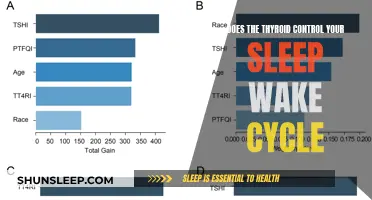 Thyroid's Role in Sleep-Wake Cycle: Unlocking the Connection