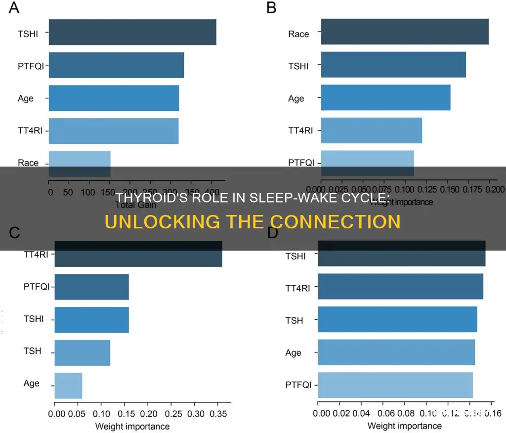 does the thyroid control your sleep wake cycle