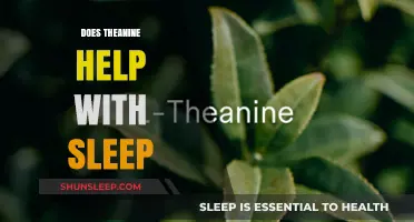 Theanine and Sleep: Unlocking Better Rest Naturally