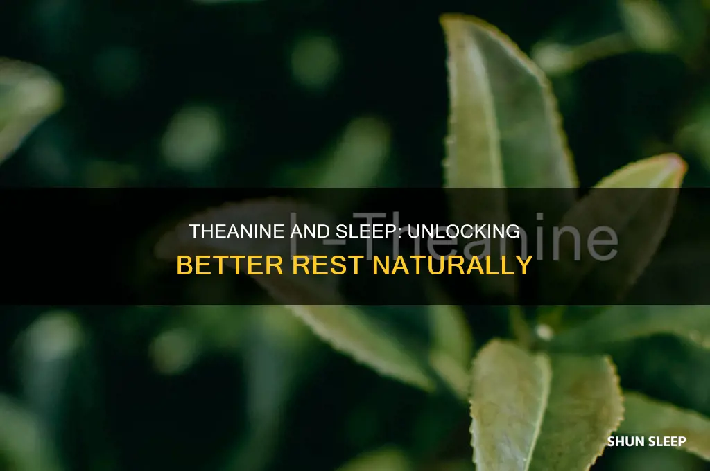 does theanine help with sleep