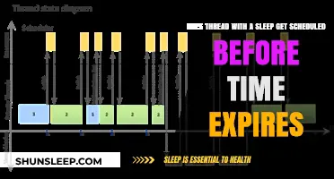 Does Thread Sleep Scheduling Occur Prematurely? Exploring Timing and Execution