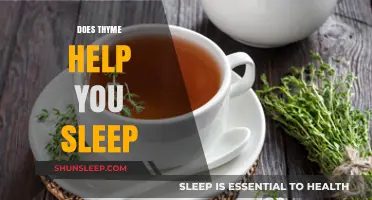 Thyme for Sleep: Exploring Thyme's Potential to Enhance Restful Nights