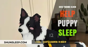 Ticking Clock for Puppies: Sleep Aid or Distraction?