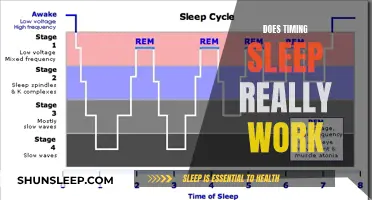 Mastering Sleep: Does Timing Really Work?