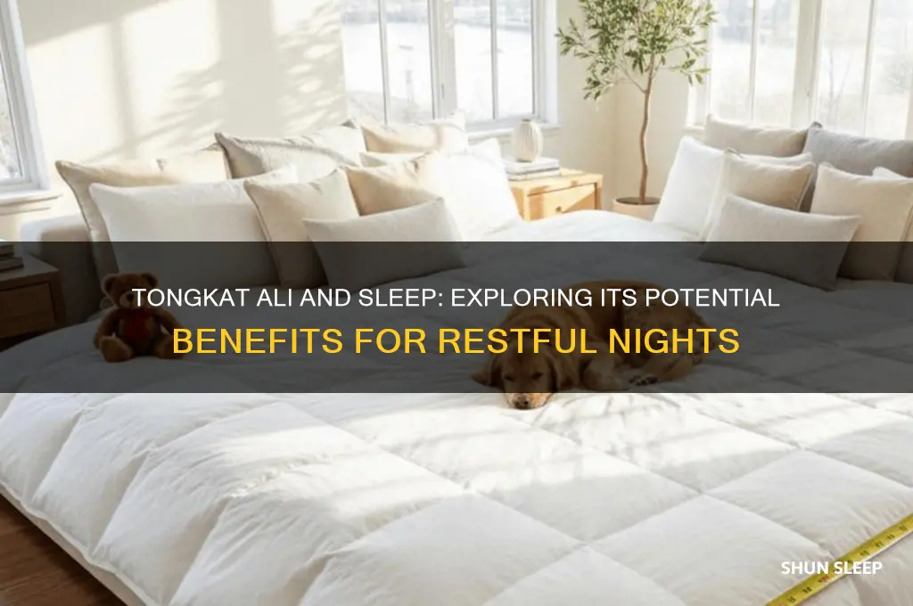 does tongkat ali help sleep