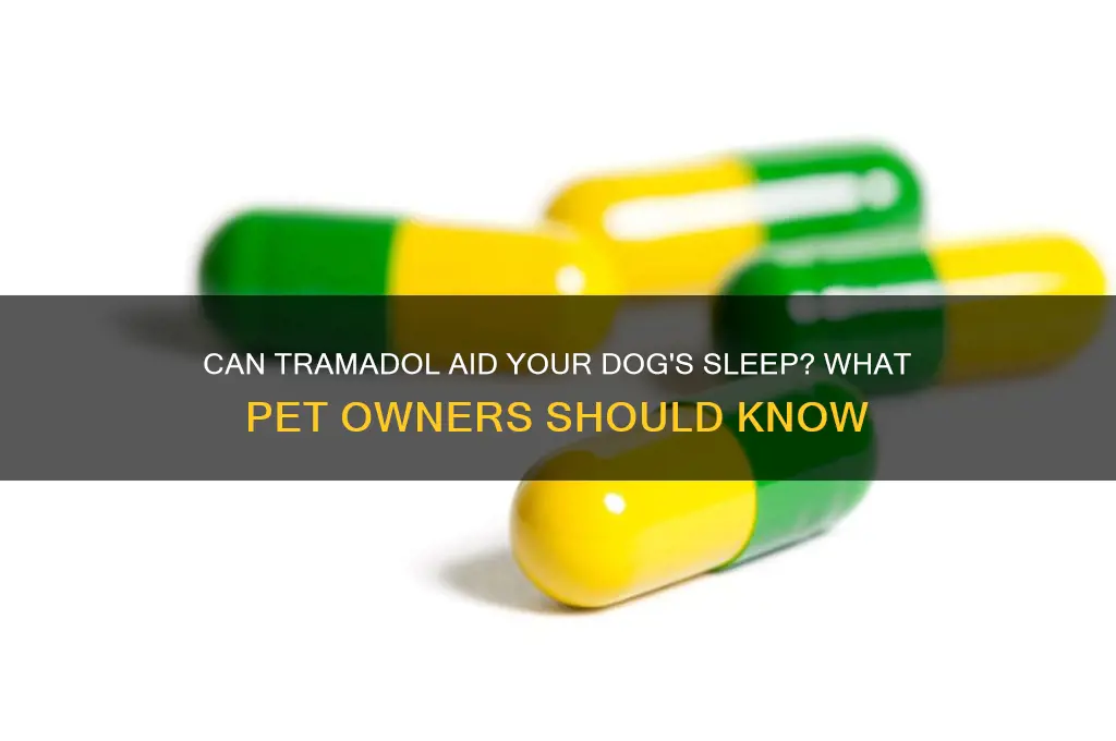 does tramadol help dogs sleep