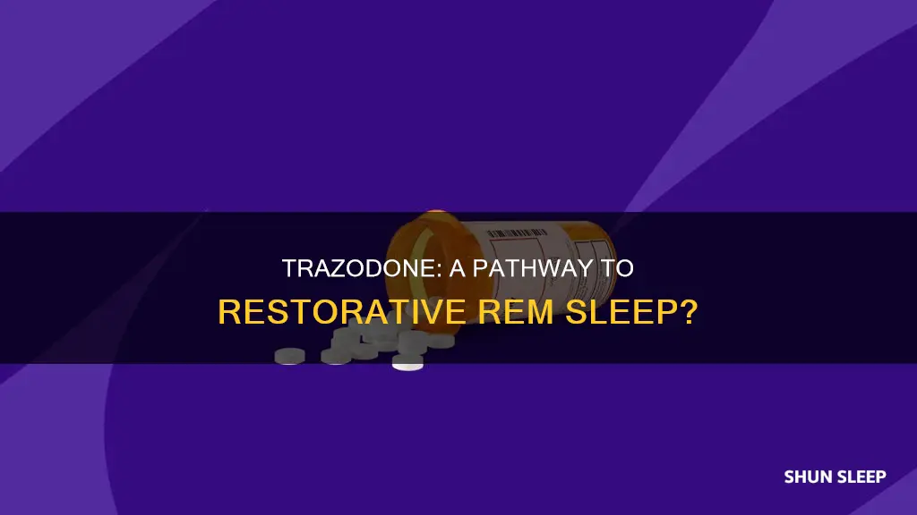 does trazodone allow a person to rem sleep