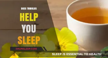 Tribulus and Sleep: Uncovering Its Potential Benefits for Restful Nights