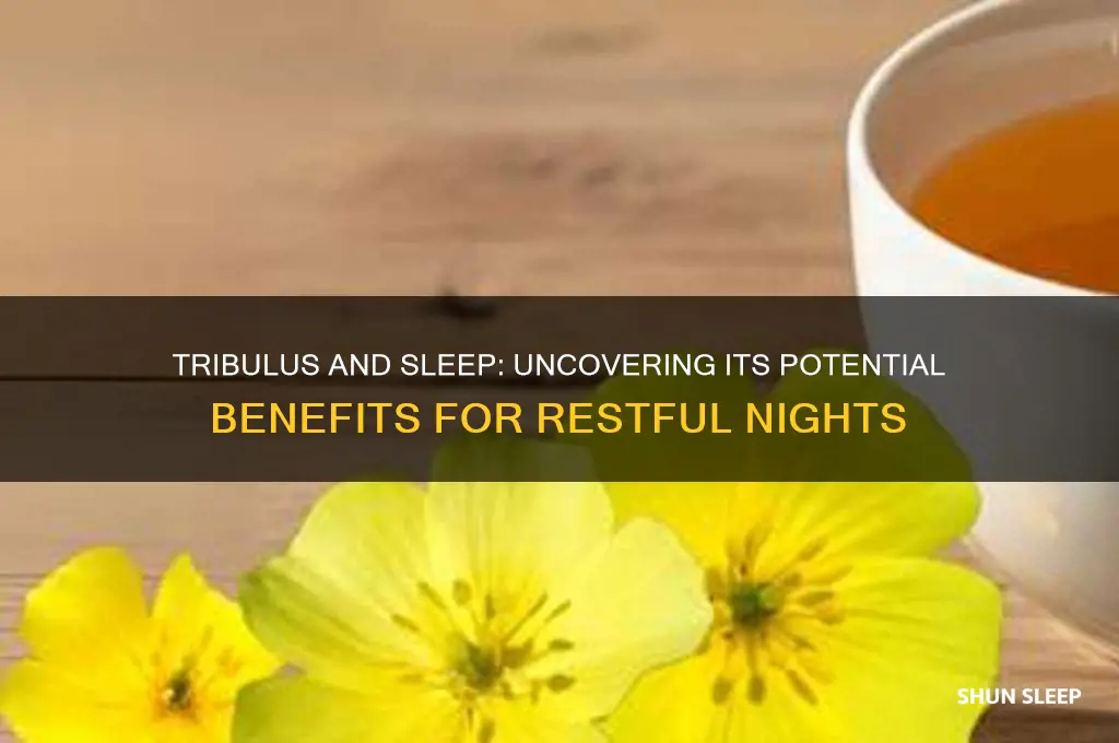 does tribulus help you sleep