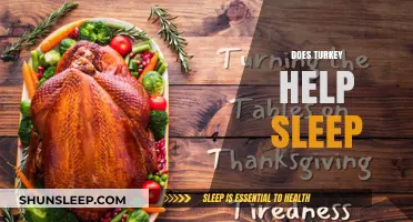Turkey and Sleep: Unraveling the Tryptophan Myth for Better Rest