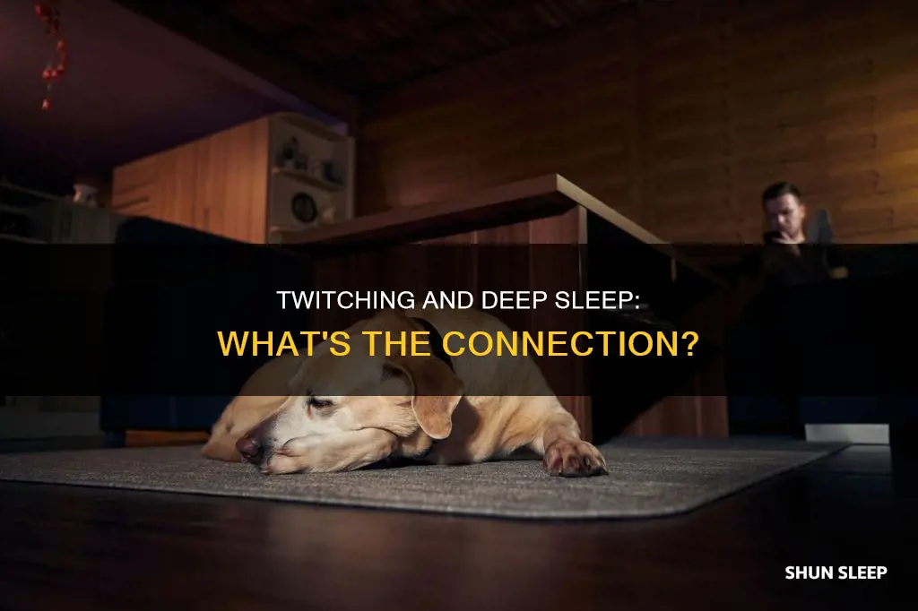 does twitching mean deep sleep