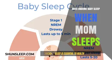 Does Your Unborn Baby Sleep When You Do? Exploring Fetal Rest Patterns