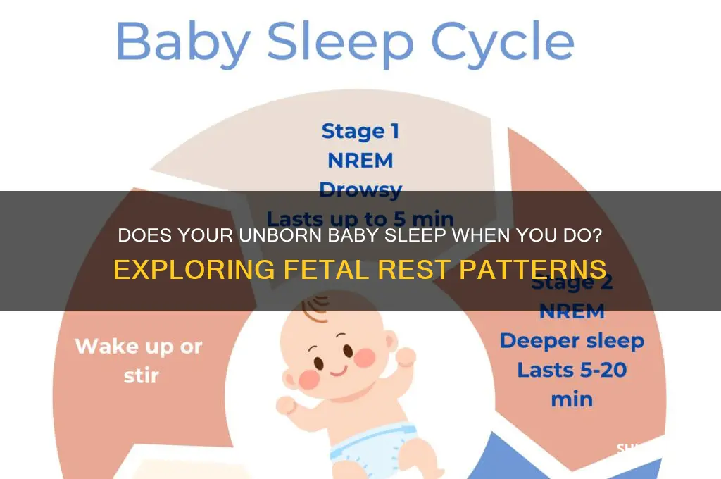 does unborn baby sleep when mom sleeps