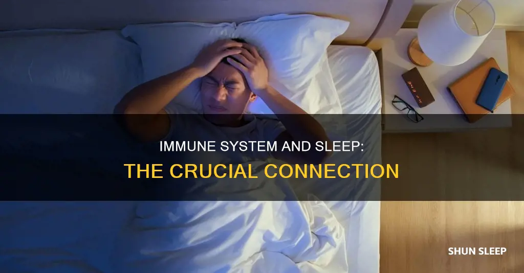 does ur immune system weaken without sleep