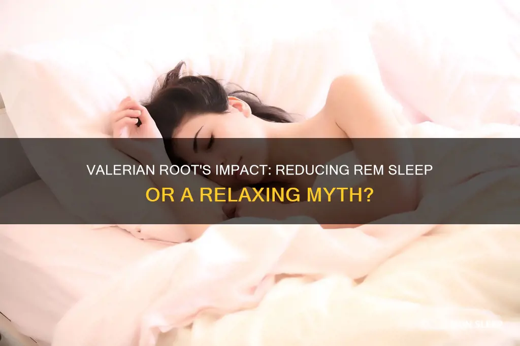 does valerian decrease rem sleep