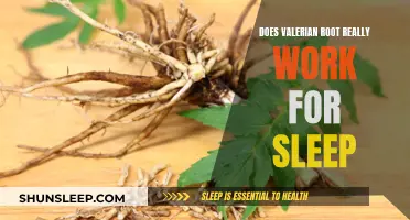 Valerian Root for Sleep: Does It Work?