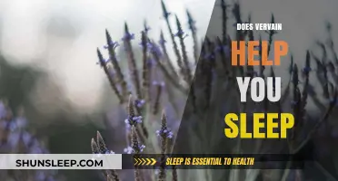 Vervain for Sleep: Exploring Its Benefits and Effectiveness