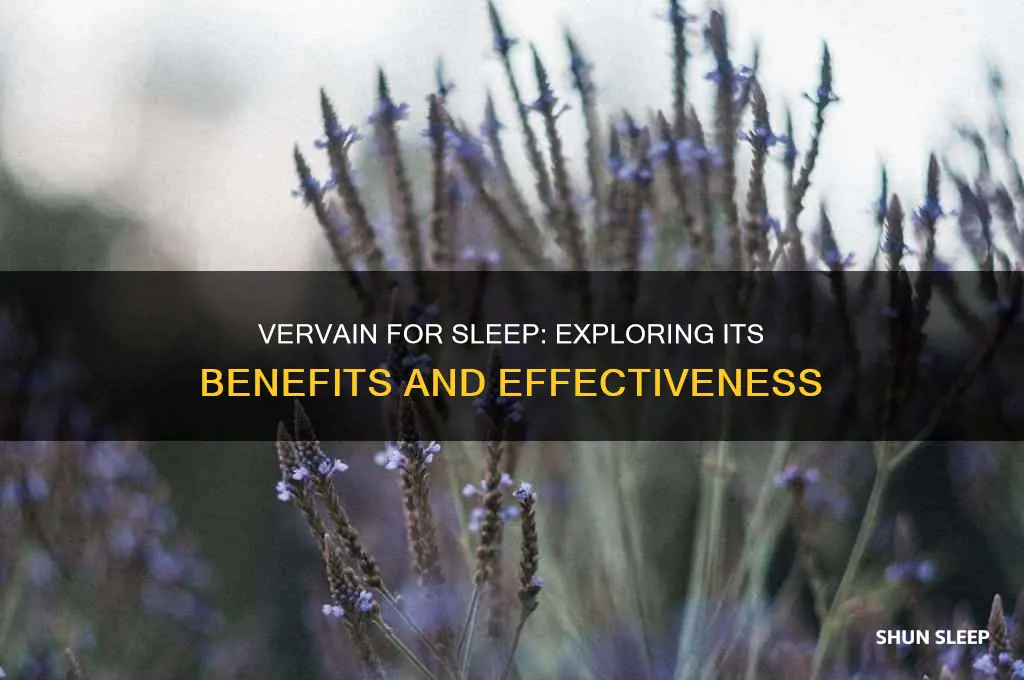 does vervain help you sleep