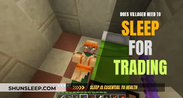 Does Your Villager Need Beauty Sleep for Trading?