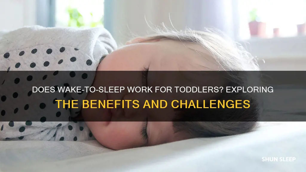 does wake to sleep work for toddlers