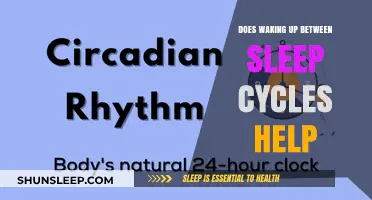 Waking Between Sleep Cycles: Boost or Bust for Restful Nights?