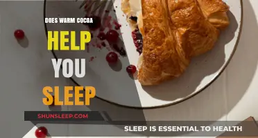 Warm Cocoa and Sleep: Unraveling the Soothing Nighttime Ritual