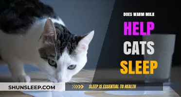 Warm Milk for Cats: Myth or Sleep Aid?