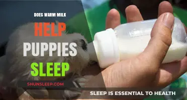 Warm Milk for Puppies: A Sleep Aid or Myth?