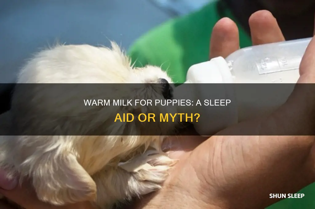does warm milk help puppies sleep