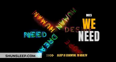 The Importance of Necessity: Examining Our Needs