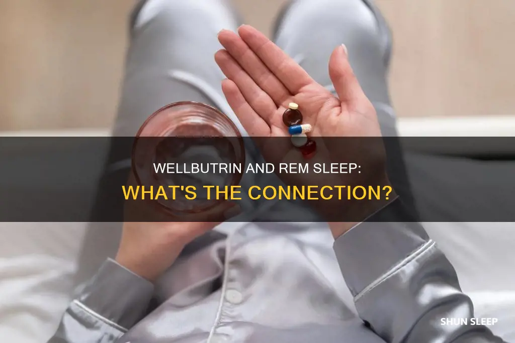 does wellbutrin increase rem sleep