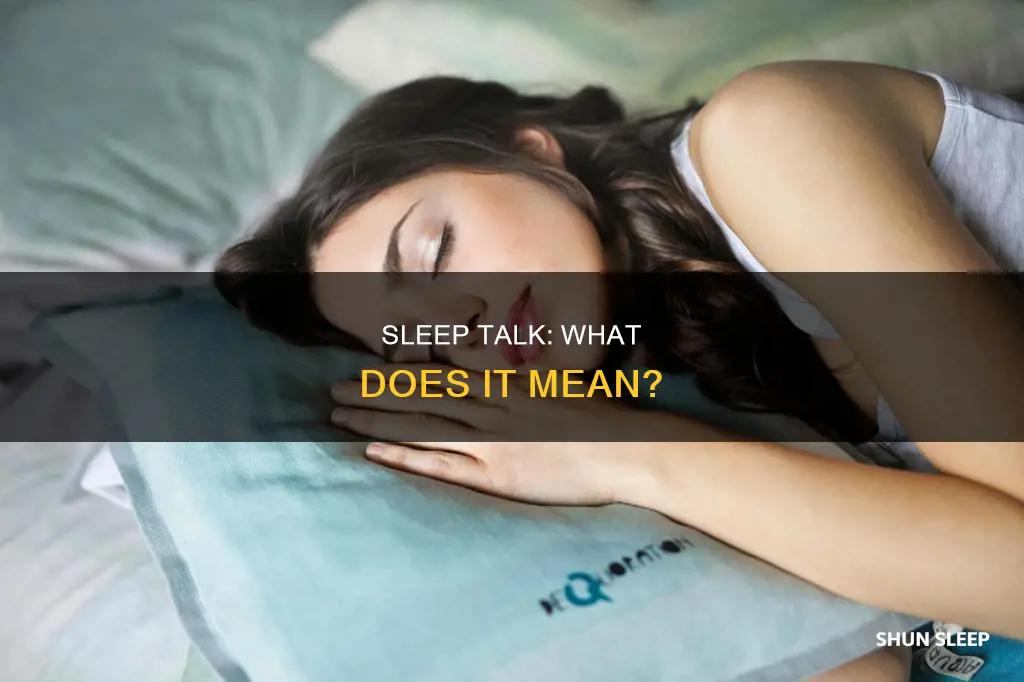 does what you say in your sleep mean anything