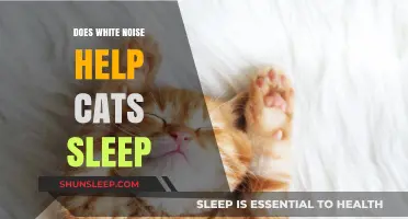 White Noise for Cats: Enhancing Sleep Quality and Calmness
