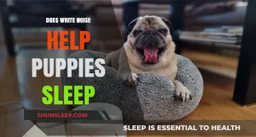 White Noise for Puppies: Enhancing Sleep Quality and Calmness