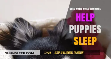 White Noise Machines: A Puppy Sleep Aid or Myth?
