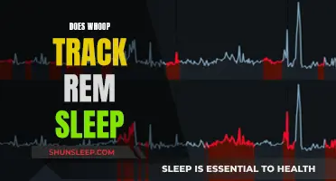 Whoop's Tracking Abilities: Do They Include REM Sleep?